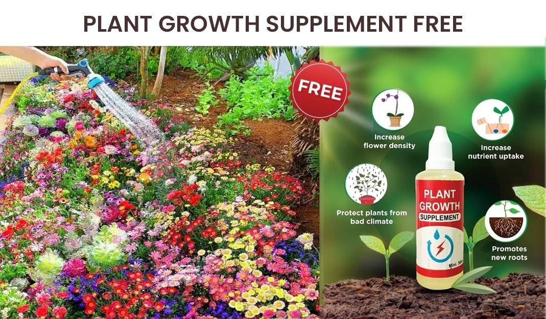 Pack of 100+ Colorful Variety Flower Seeds And Get *FREE* Plant Growth Supplement