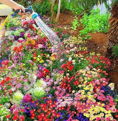 Pack of 100+ Colorful Variety Flower Seeds And Get *FREE* Plant Growth Supplement