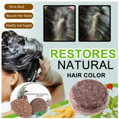🌿 Naturally Made Organic Shampoo Soap🔥 BUY 1 GET 1 FREE