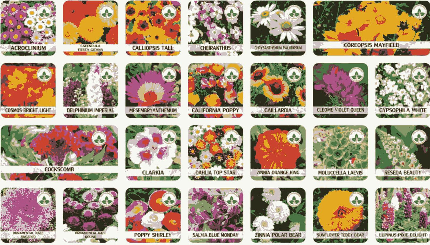 Pack of 100+ Colorful Variety Flower Seeds And Get *FREE* Plant Growth Supplement