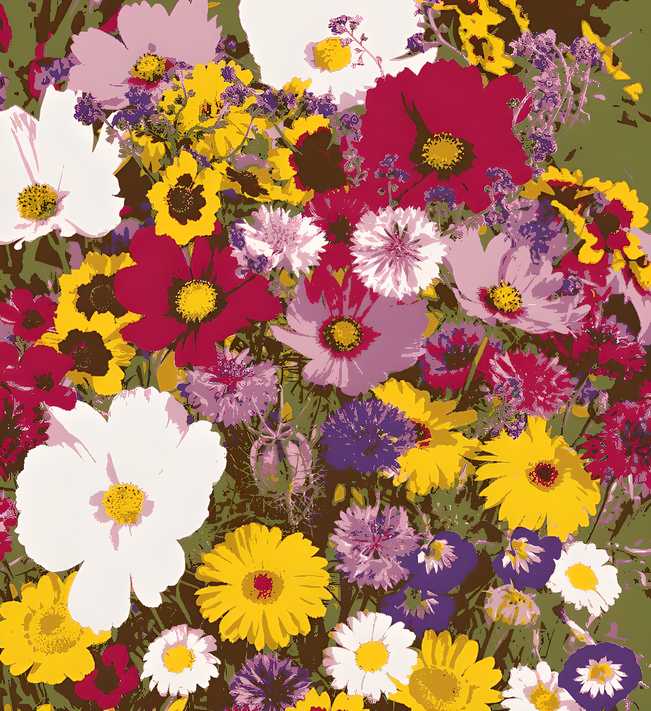 Pack of 100+ Colorful Variety Flower Seeds And Get *FREE* Plant Growth Supplement