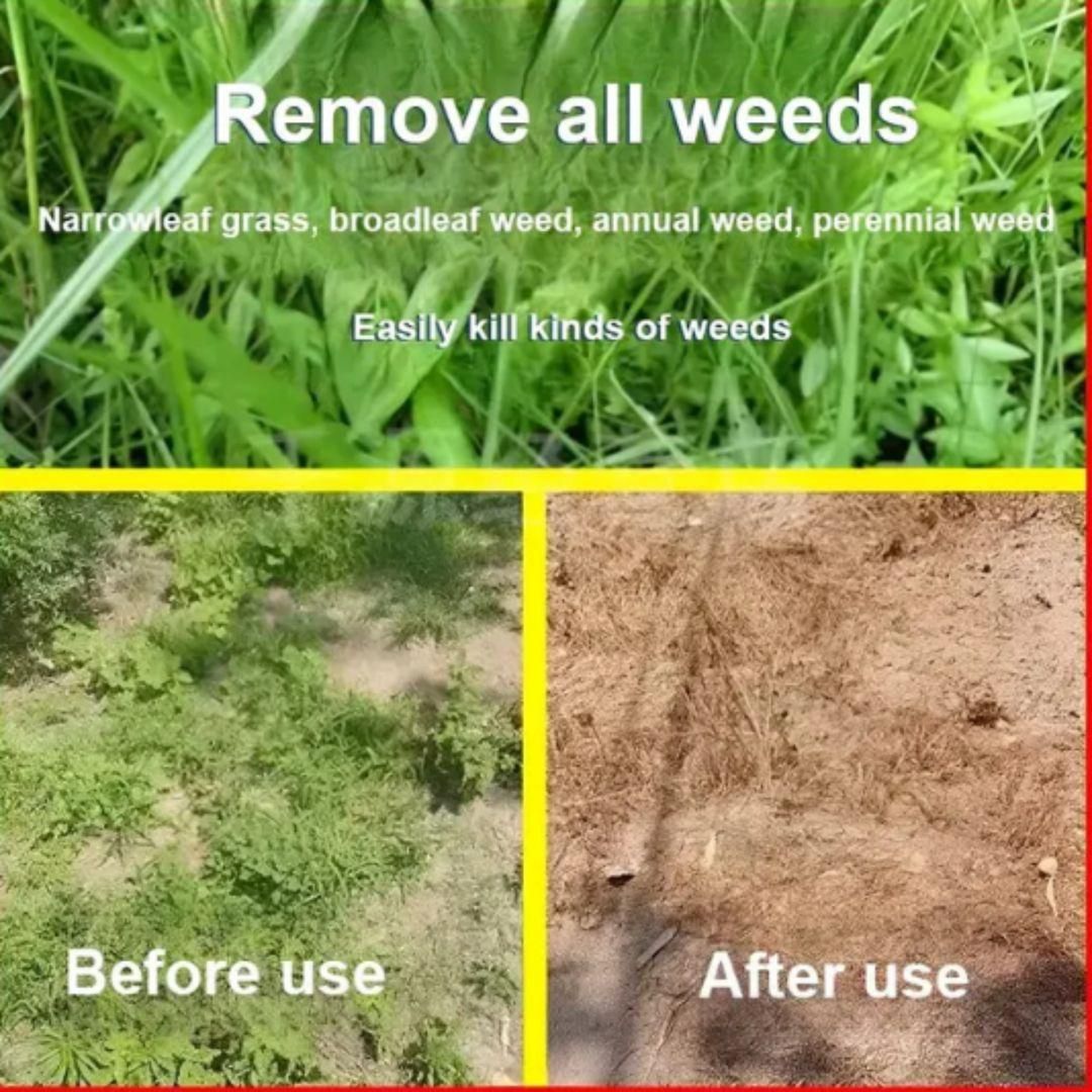 🌿 High Concentration Glufosinate Herbicide (Buy 1 Get 1 Free)  🌿
