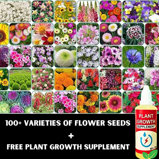 Pack of 100+ Colorful Variety Flower Seeds And Get *FREE* Plant Growth Supplement